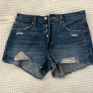 Aritzia Denim Forum Shorts